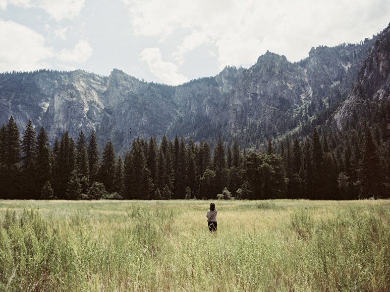 Van life in Yosemite